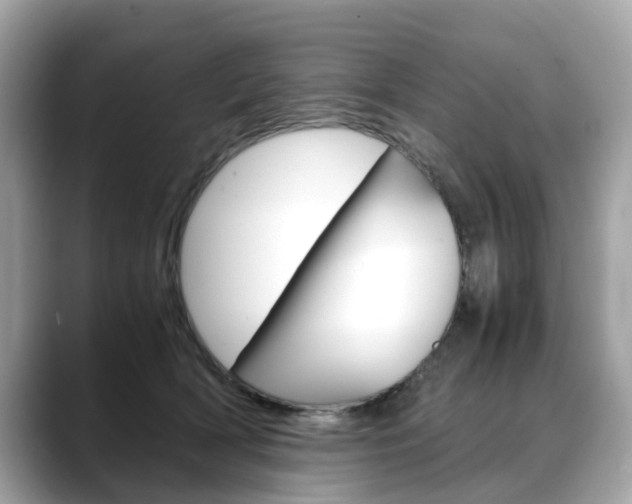 X0000088720418200705311101