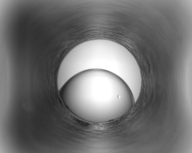 X0000088720423200705311101