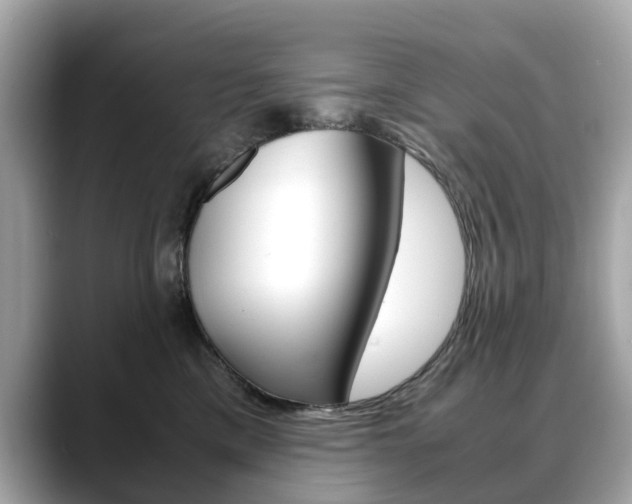 X0000088720425200705311100