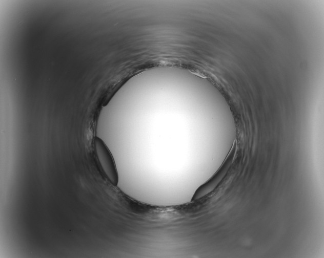 X0000088720427200705311100
