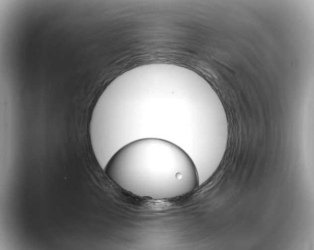 X0000088720429200705311100