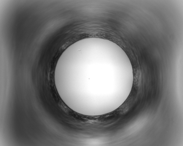X0000088720430200705311100