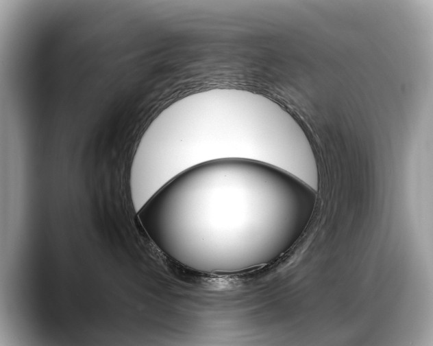 X0000088720432200705311100
