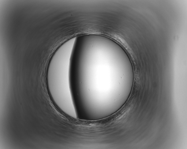 X0000088720433200705311100