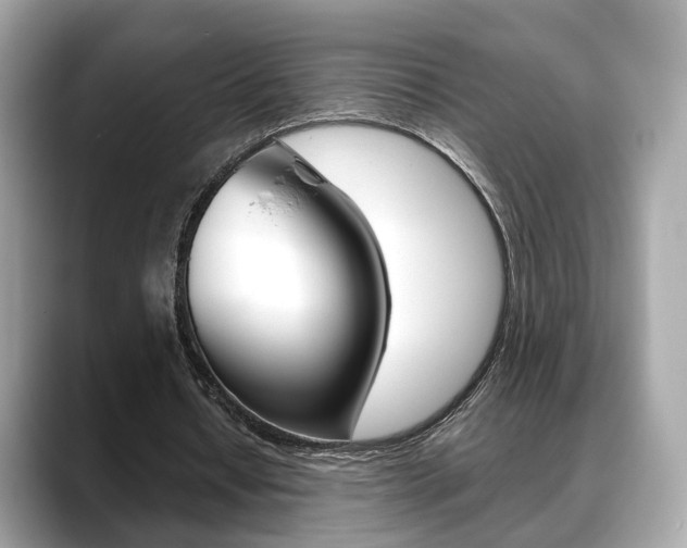 X0000088720434200705311100