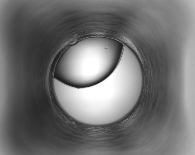 X0000088720435200705311100