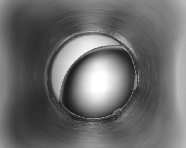 X0000088720436200705311100