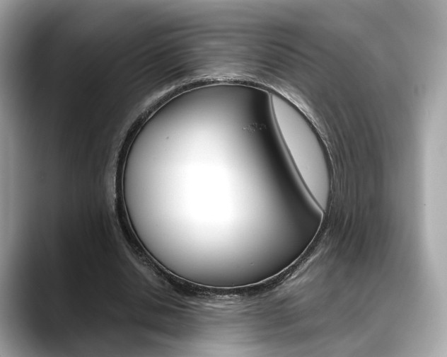 X0000088720438200705311100