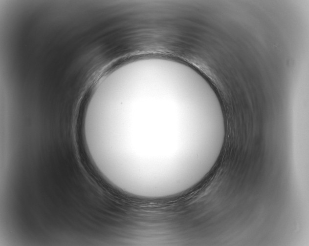 X0000088720440200705311100