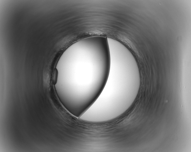 X0000088720444200705311100