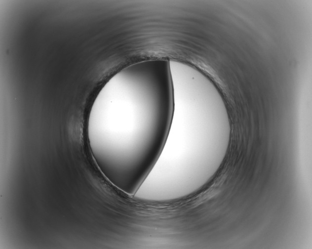 X0000088720446200705311100