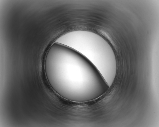 X0000088720447200705311100