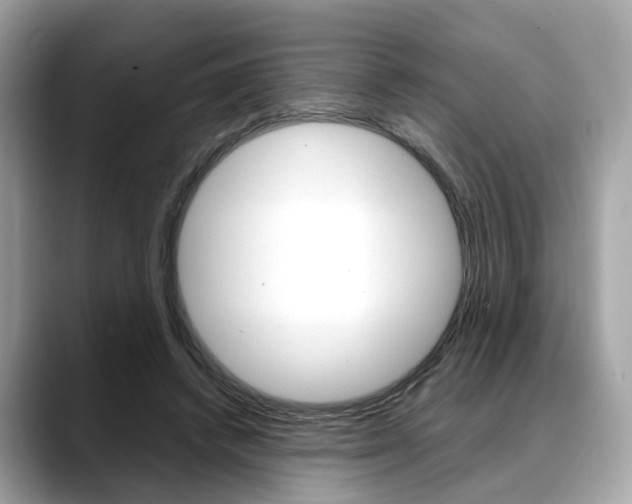 X0000088720448200705311100