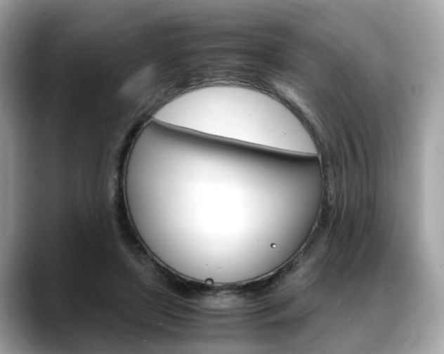 X0000088720451200705311100