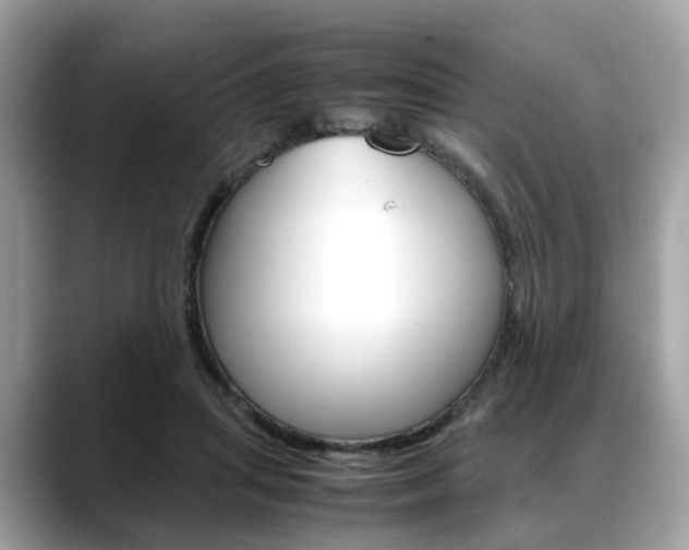 X0000088720455200705311100