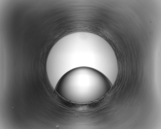 X0000088720456200705311100
