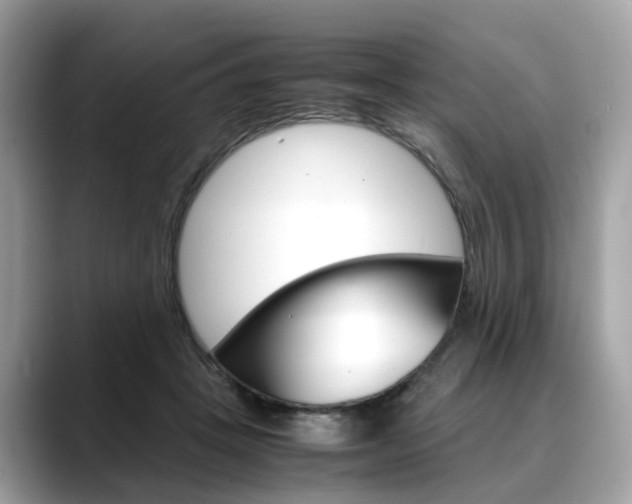 X0000088720457200705311100