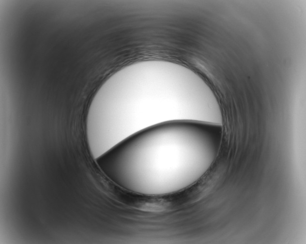 X0000088720459200705311100