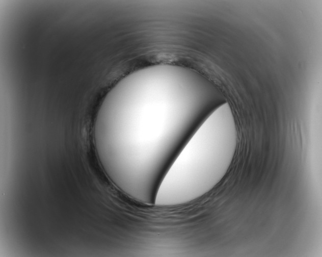 X0000088720460200705311100