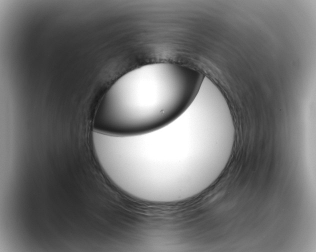 X0000088720462200705311100