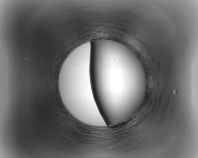 X0000088720463200705311100