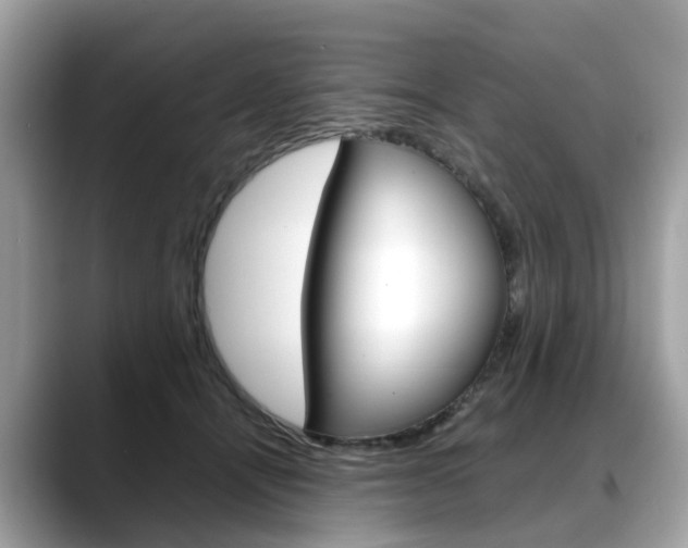 X0000088720464200705311100