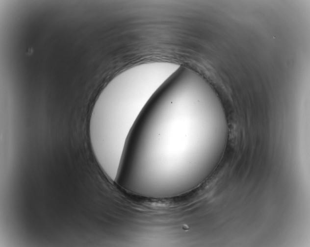 X0000088720466200705311100
