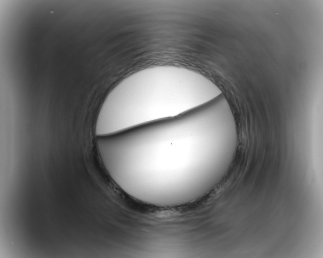 X0000088720468200705311100