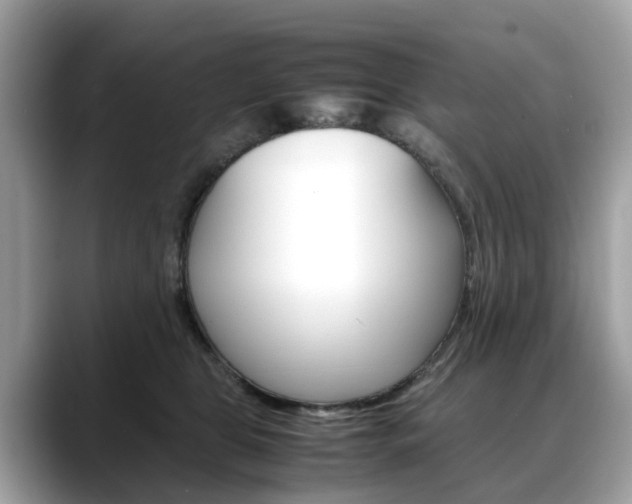 X0000088720469200705311100