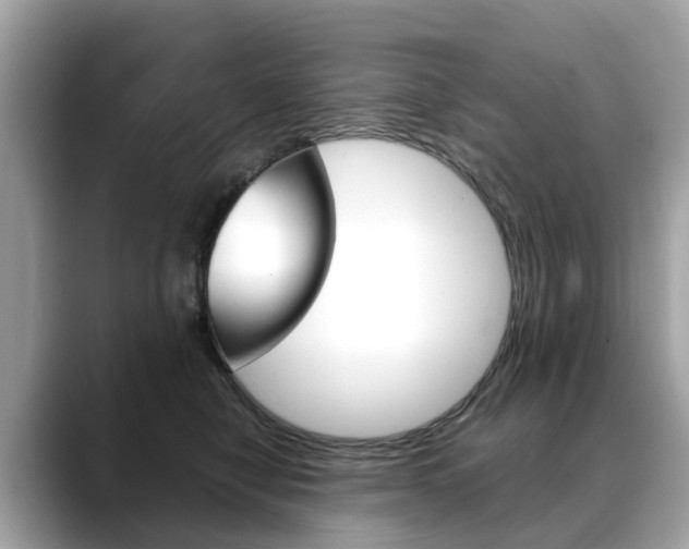 X0000088720470200705311100