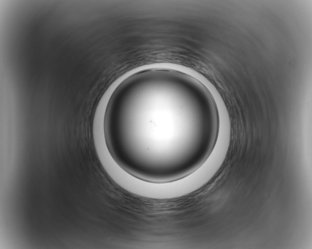 X0000088720473200705311100