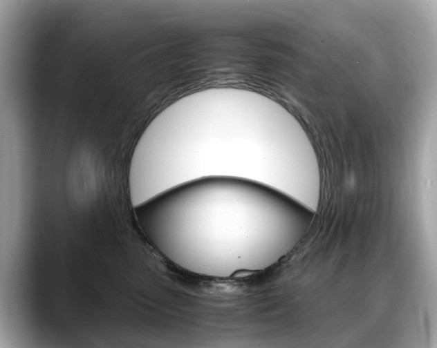 X0000088720475200705311100