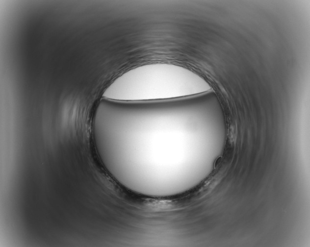 X0000088720476200705311100