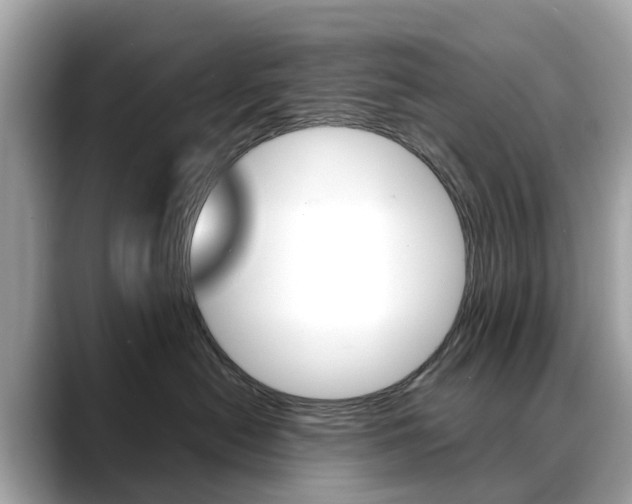 X0000088720478200705311100