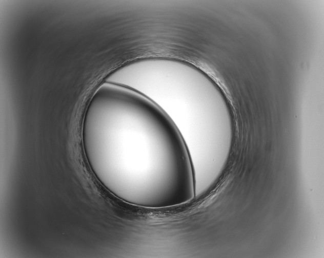 X0000088720481200705311100