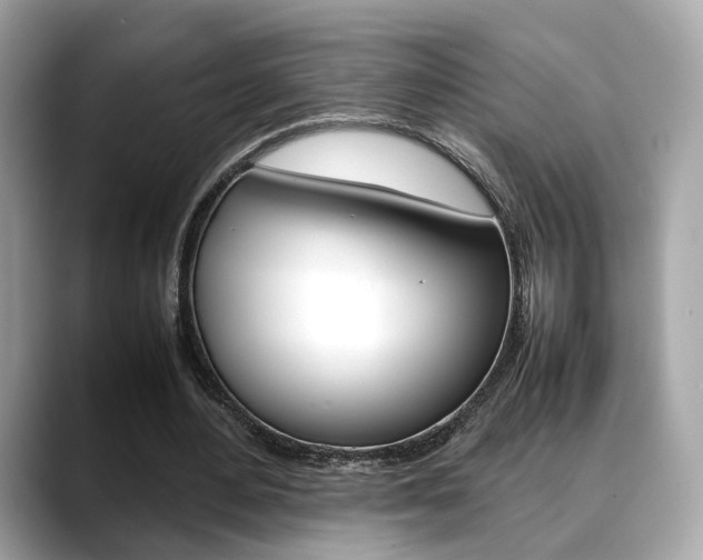 X0000088720484200705311100