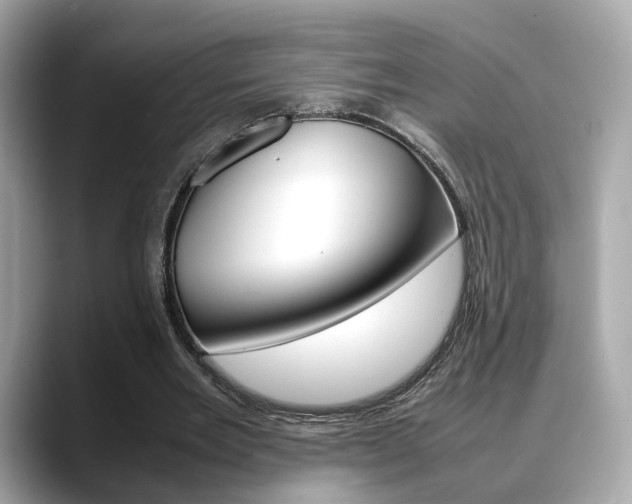 X0000088720485200705311100