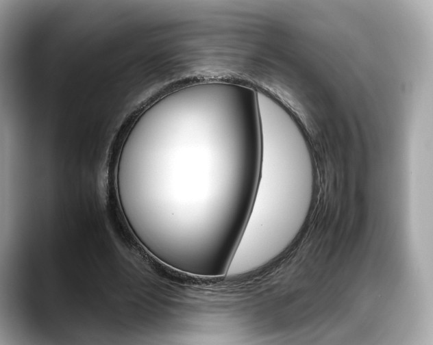 X0000088720488200705311100