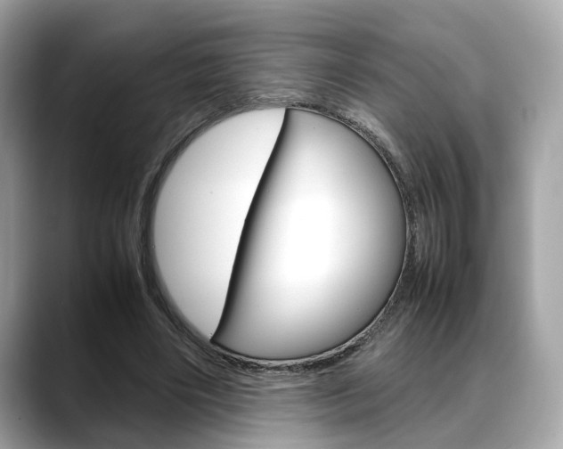 X0000088720490200705311100