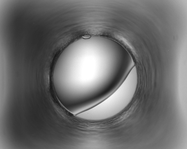 X0000088720493200705311100
