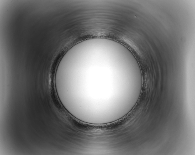X0000088720494200705311100