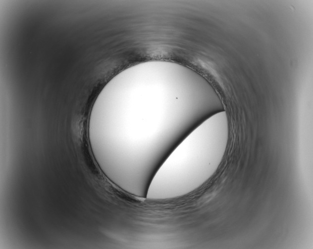 X0000088720495200705311100