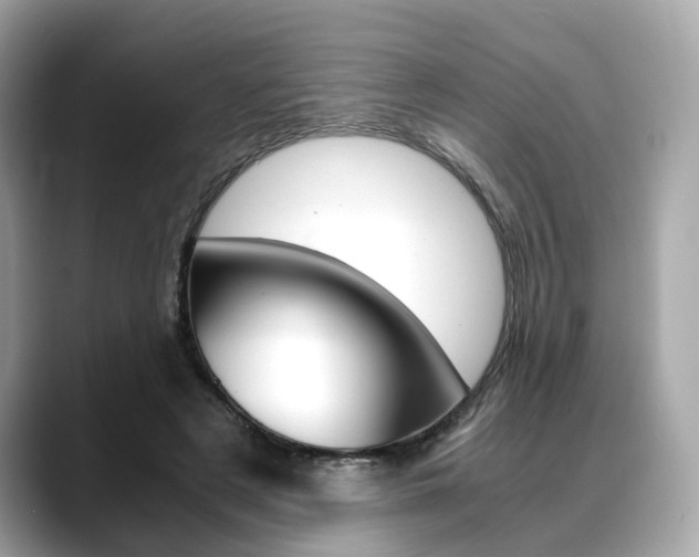 X0000088720497200705311100