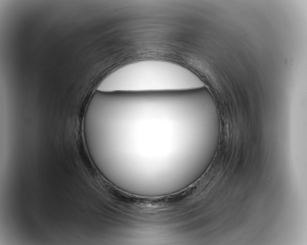 X0000088720498200705311100