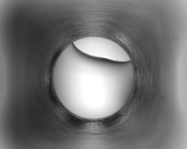X0000088720499200705311100