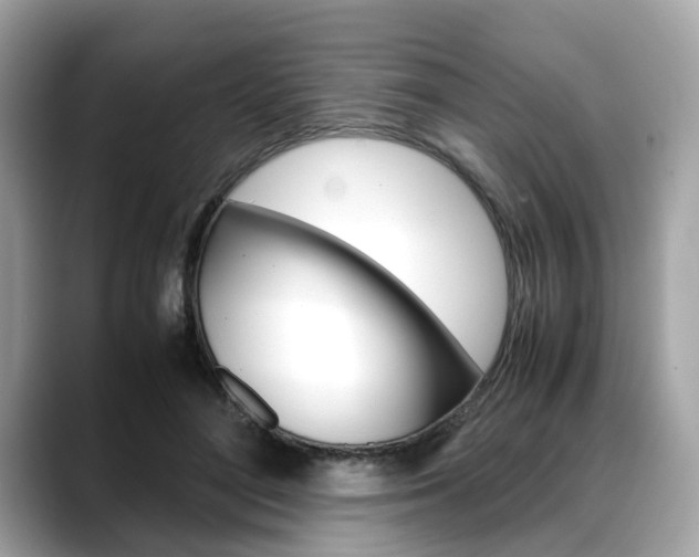 X0000088720500200705311100