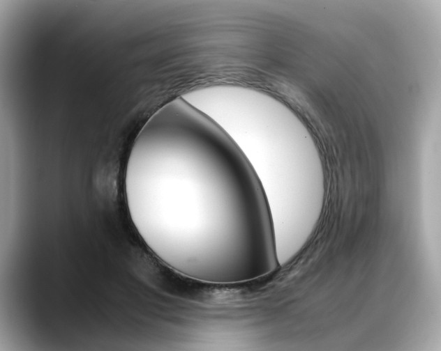 X0000088720501200705311100