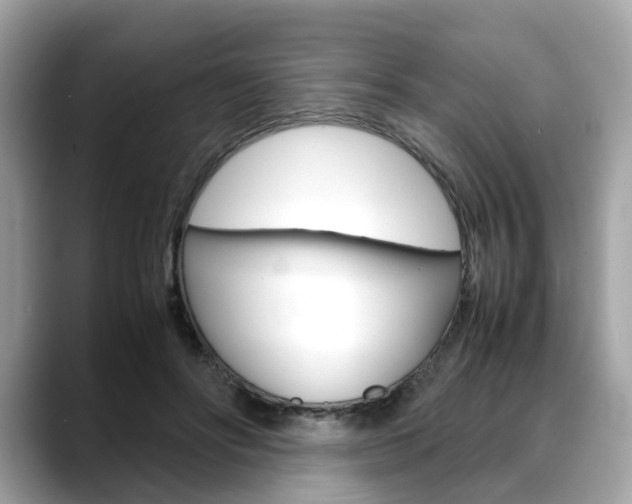 X0000088720502200705311100