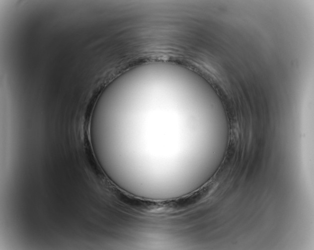 X0000088720504200705311100