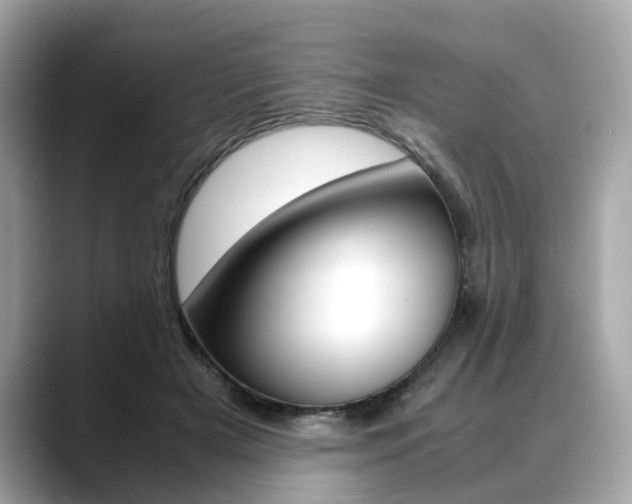 X0000088720505200705311100